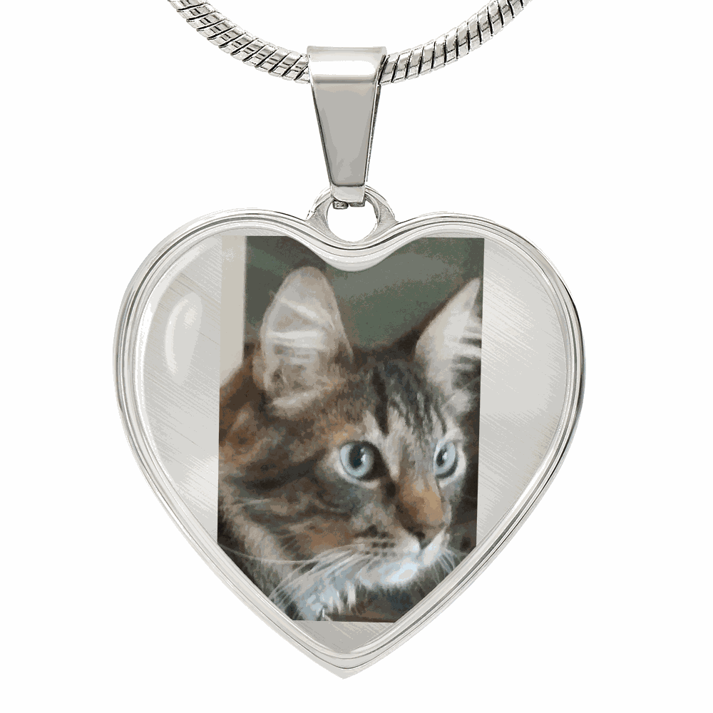 Custom pet photo heart necklace with engraved name, personalized cat and dog memorial jewelry for pet moms