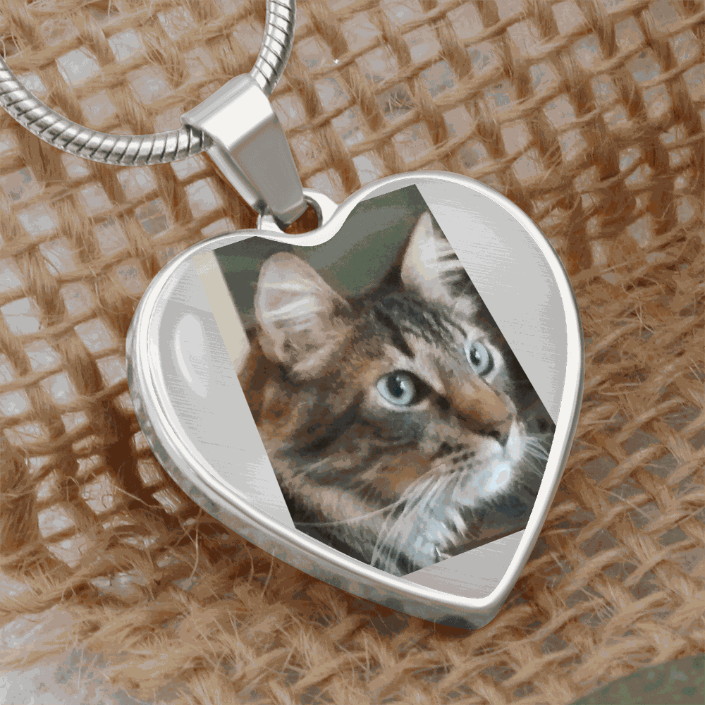 Custom Pet Photo Heart Necklace | Personalized Cat & Dog Memorial Jewelry for Pet Moms
