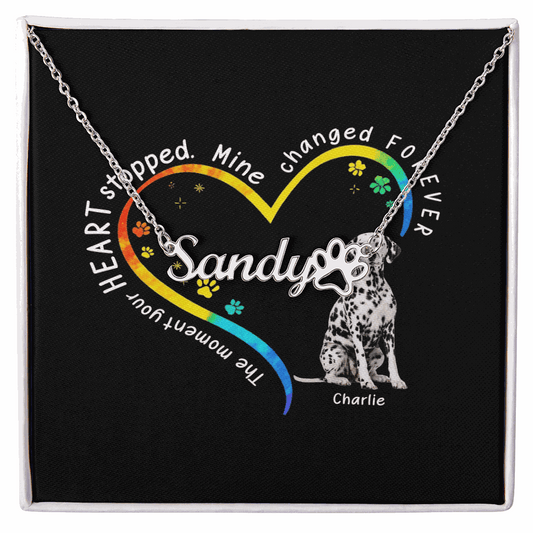Personalized pet name necklace with cursive script and paw print on adjustable chain in polished steel or 18K gold finish